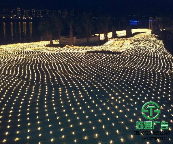 市政樓宇樓體亮化LED網(wǎng)燈展示圖蘇通廣告提供